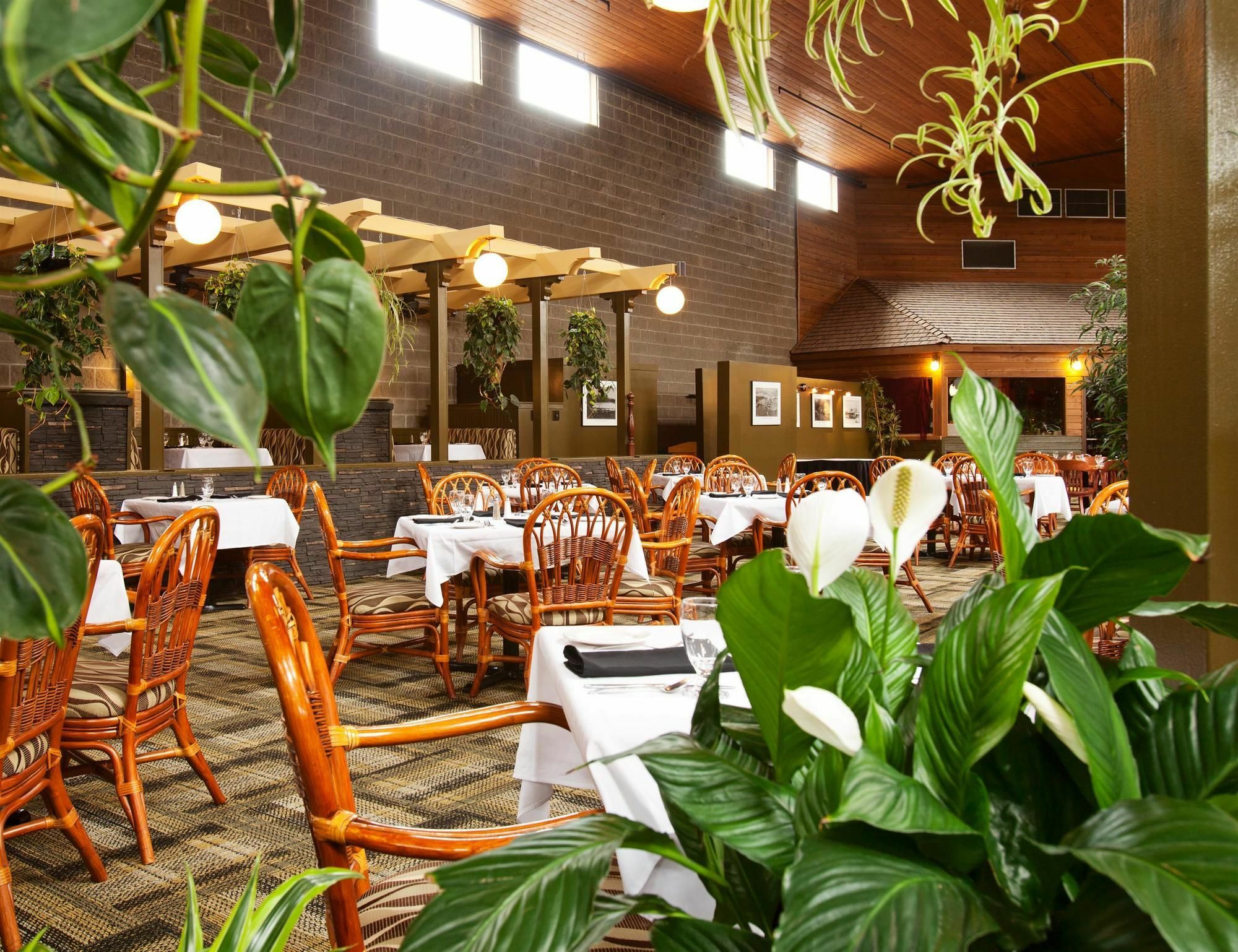 Surestay Hotel By Best Western Chilliwack Εξωτερικό φωτογραφία